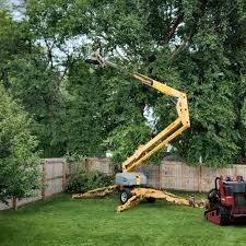 Leaf Removal in Worthington, MN